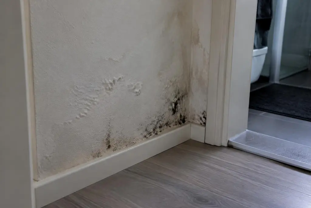 Lekdetectie Culemborg – vochtplek met schimmel op een muur